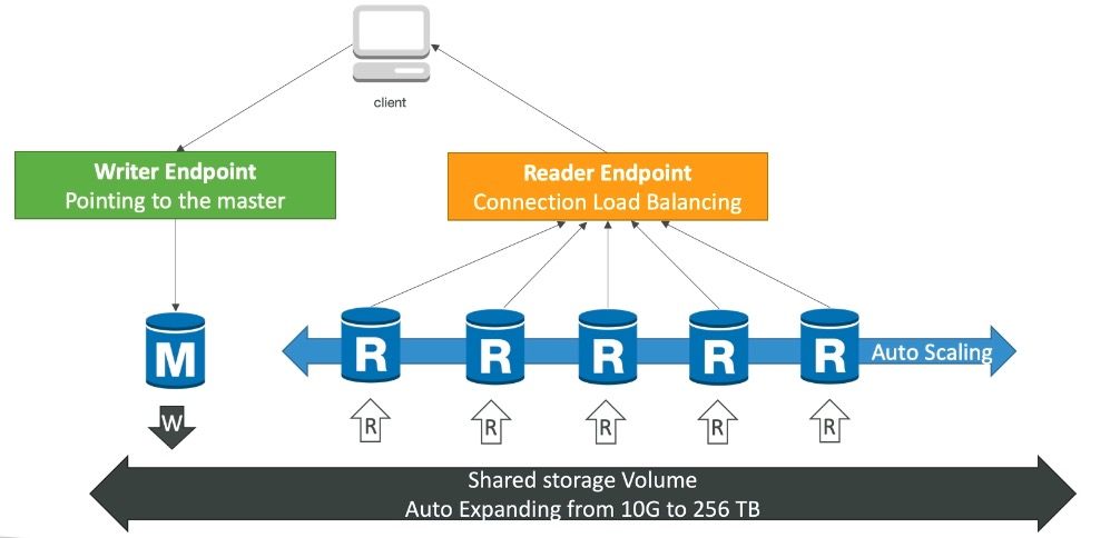 Aurora DB Cluster
