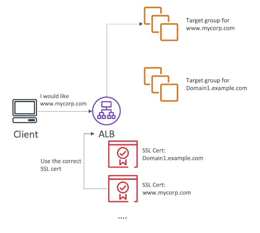 SNI example