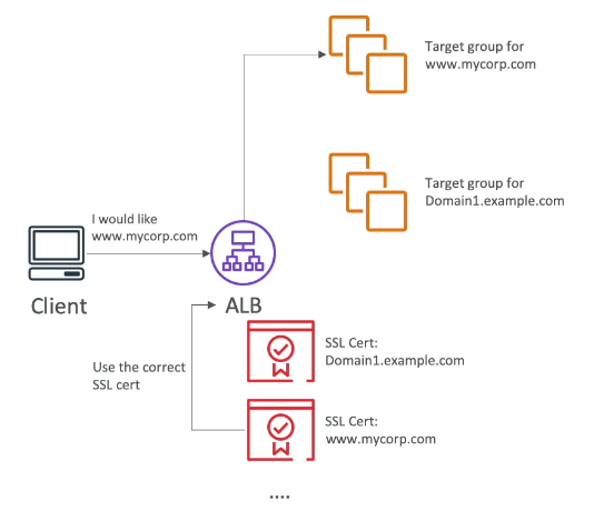 SNI example